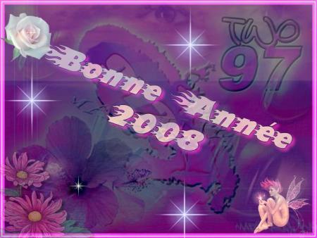 Bonne Ann&eacute;e 2008!!!
